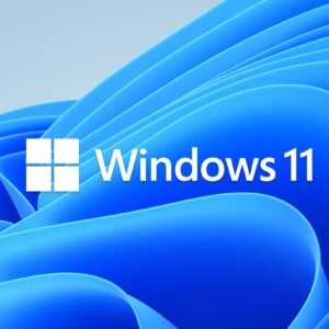 WEBSITE-windows 11