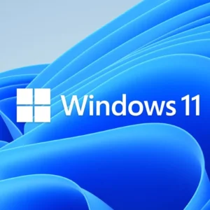 WEBSITE-windows 11